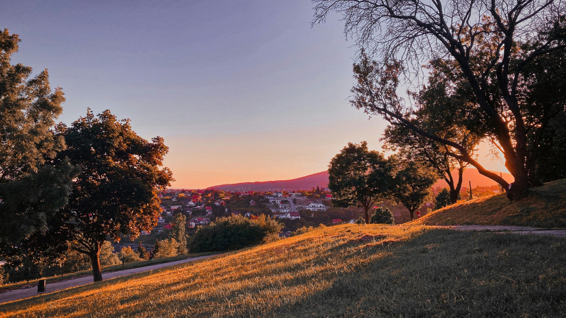 A scenic park at sunset in the Pécs hills, with trees casting long shadows and a distant view of a residential area in warm golden light.